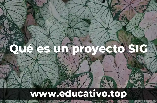 Qué es un proyecto SIG