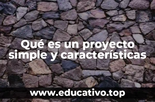 Qué es un proyecto simple y características