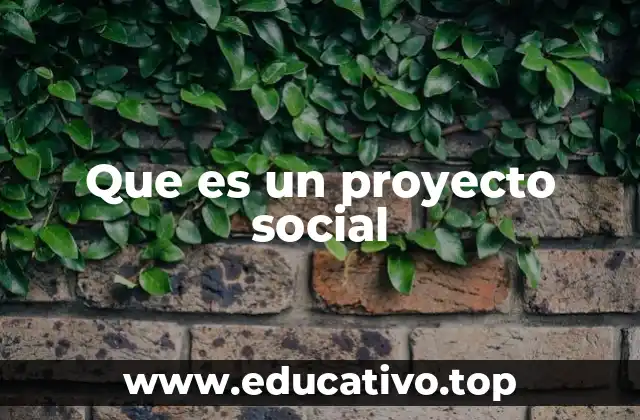 Que es un proyecto social