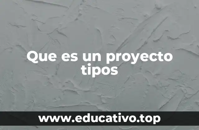 Que es un proyecto tipos
