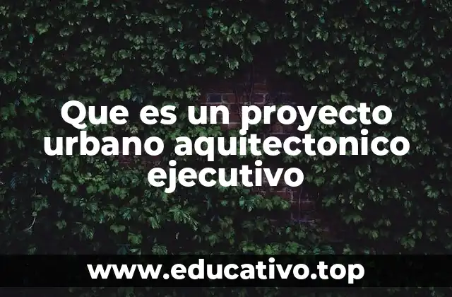 Que es un proyecto urbano aquitectonico ejecutivo