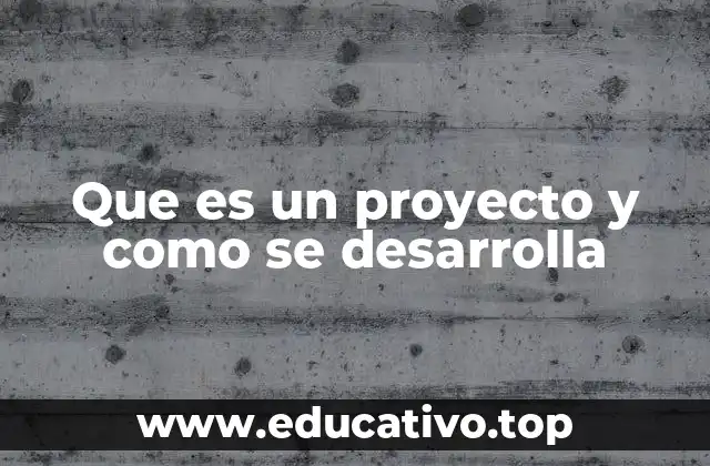 Que es un proyecto y como se desarrolla