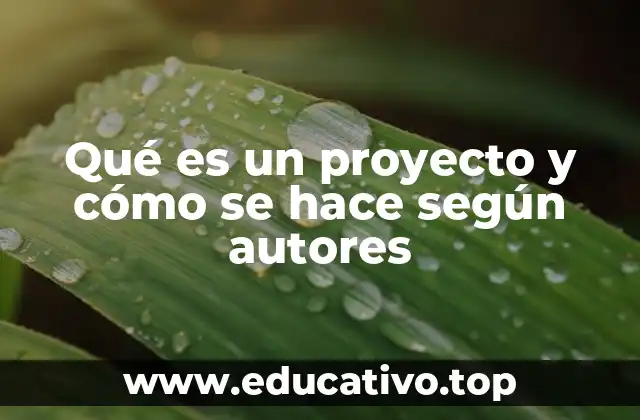 Qué es un proyecto y cómo se hace según autores
