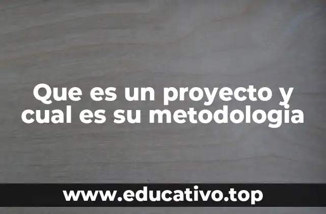 Que es un proyecto y cual es su metodologia