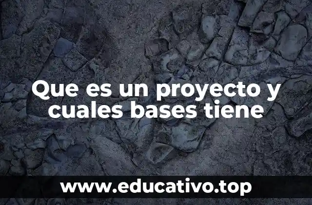 Que es un proyecto y cuales bases tiene