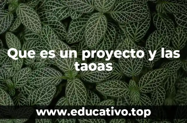 Que es un proyecto y las taoas