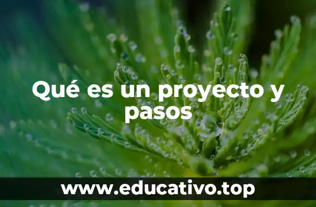 Qué es un proyecto y pasos
