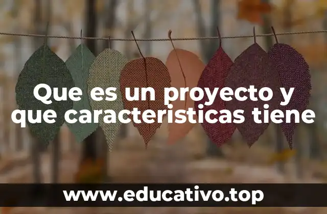 Que es un proyecto y que caracteristicas tiene