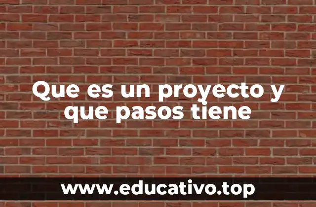 Que es un proyecto y que pasos tiene