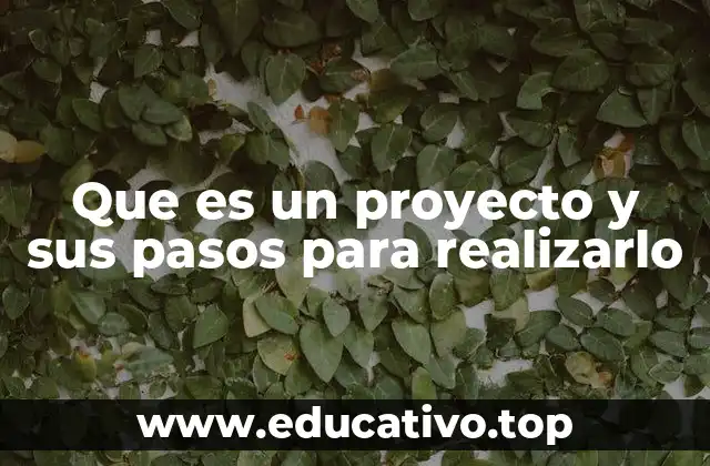 Que es un proyecto y sus pasos para realizarlo