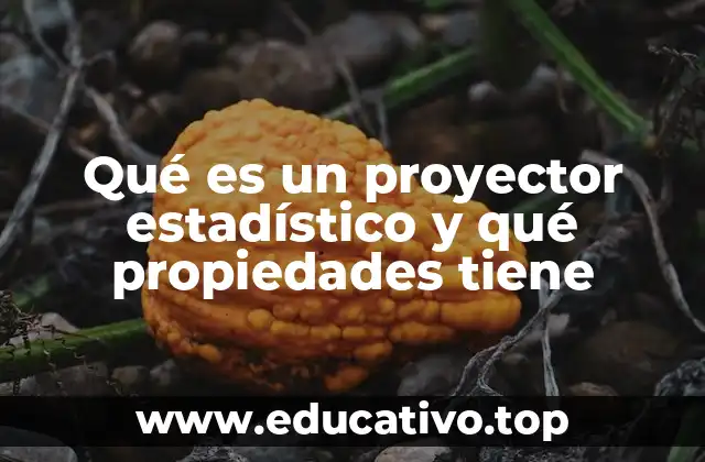 Qué es un proyector estadístico y qué propiedades tiene