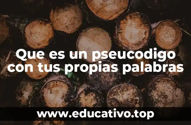 Que es un pseucodigo con tus propias palabras