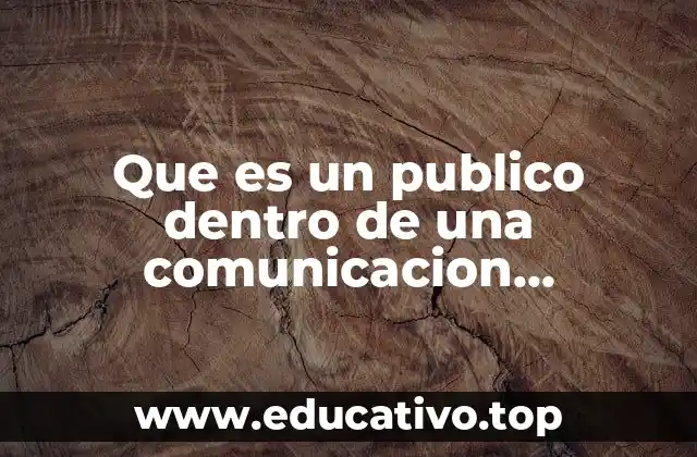 Que es un publico dentro de una comunicacion institucional