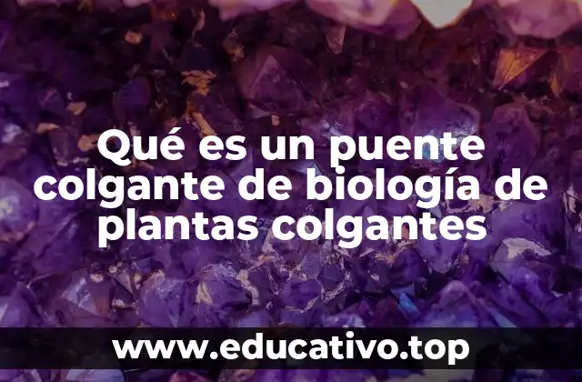 Qué es un puente colgante de biología de plantas colgantes