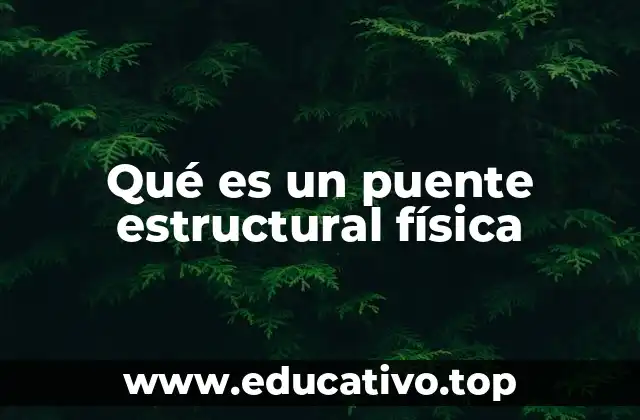 Qué es un puente estructural física