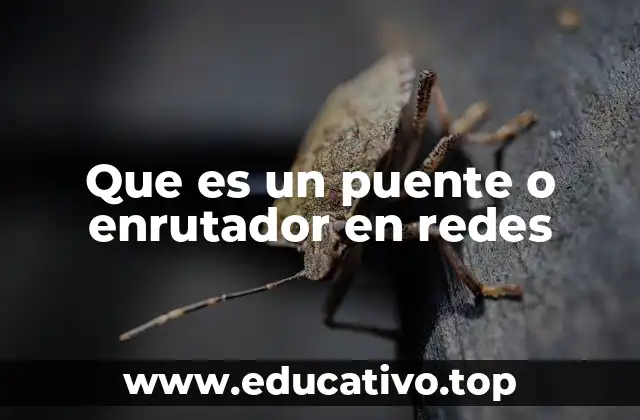 Que es un puente o enrutador en redes
