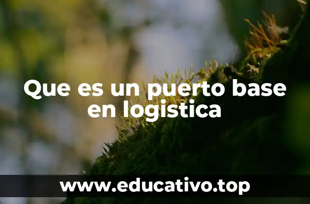 Que es un puerto base en logistica