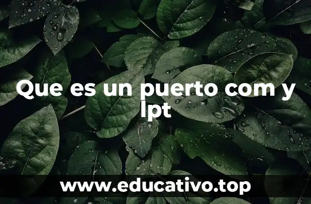 Que es un puerto com y lpt