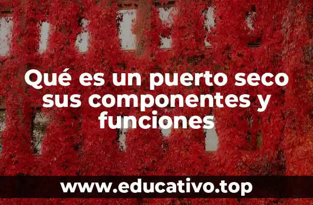 Qué es un puerto seco sus componentes y funciones