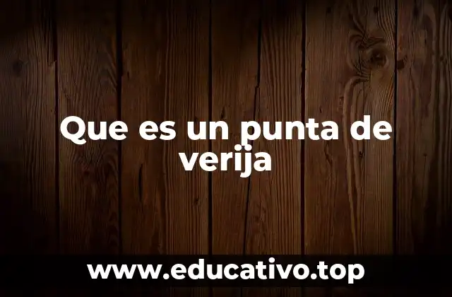 Que es un punta de verija