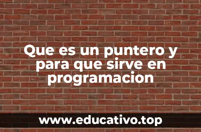 Que es un puntero y para que sirve en programacion