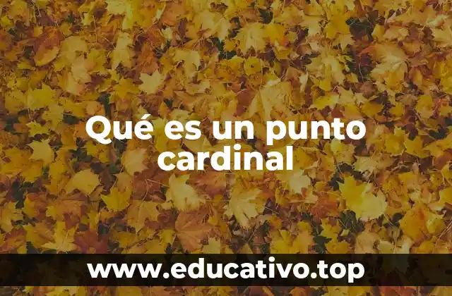 La importancia de los puntos cardinales en la geografía