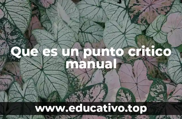 Que es un punto critico manual