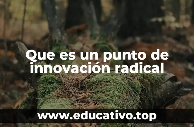 Que es un punto de innovación radical