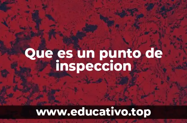 Que es un punto de inspeccion
