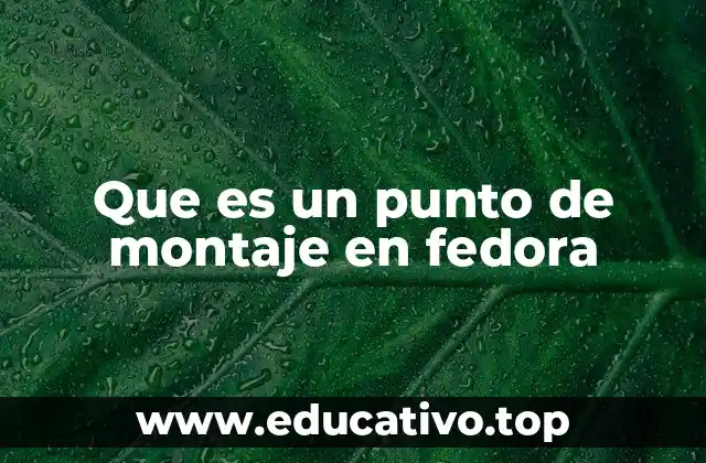 Que es un punto de montaje en fedora