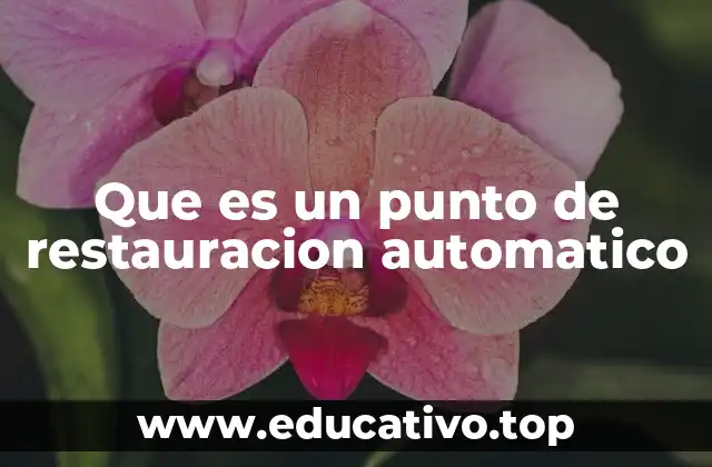 Que es un punto de restauracion automatico