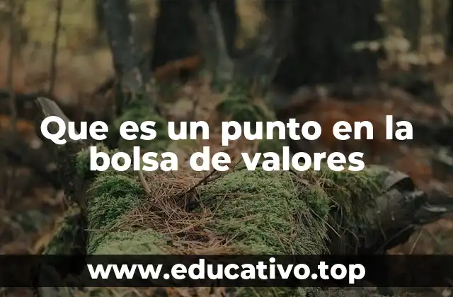 Que es un punto en la bolsa de valores