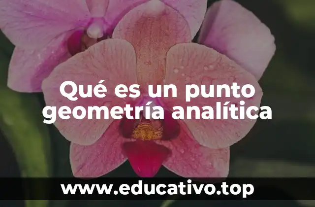 Qué es un punto geometría analítica