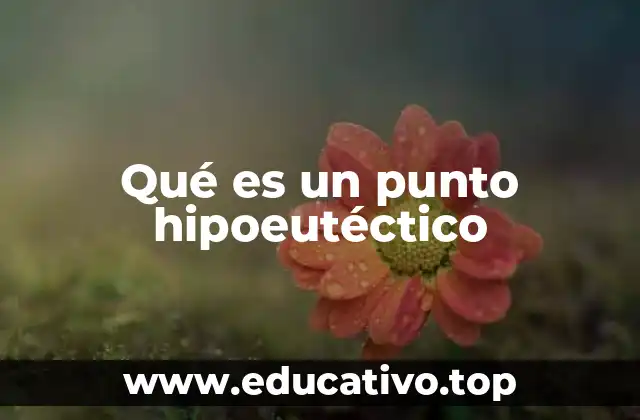 Qué es un punto hipoeutéctico