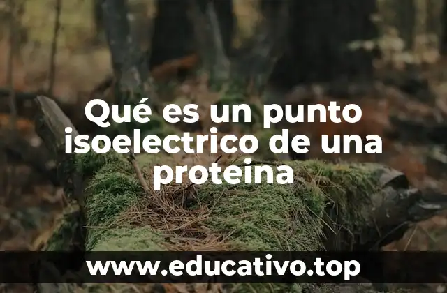 Qué es un punto isoelectrico de una proteina