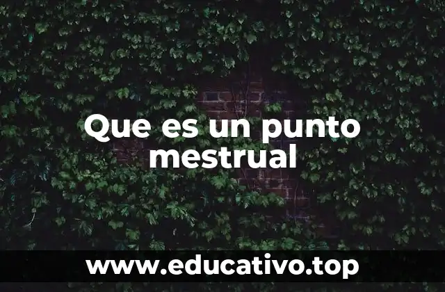 Que es un punto mestrual