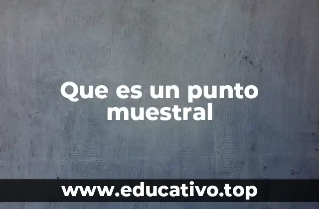 Que es un punto muestral