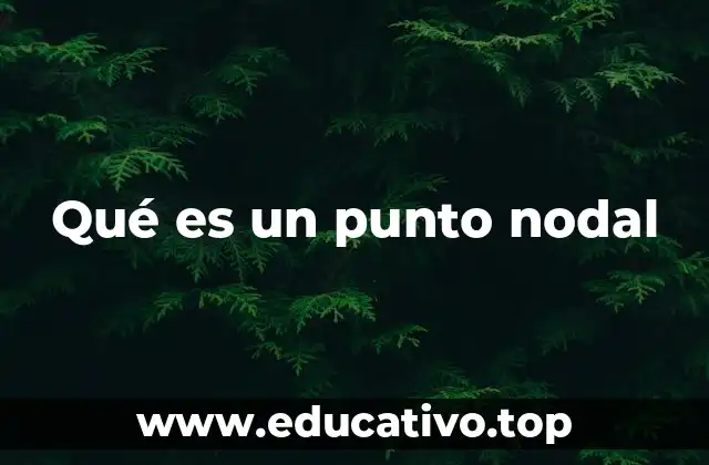 Qué es un punto nodal