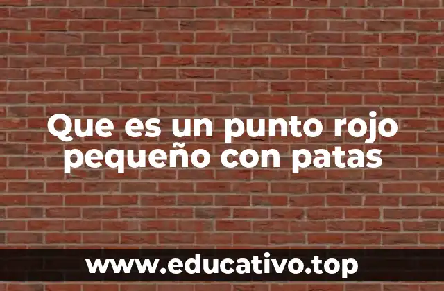 Que es un punto rojo pequeño con patas
