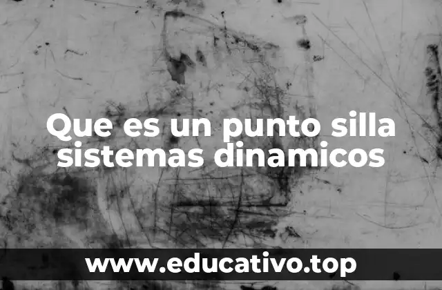 Que es un punto silla sistemas dinamicos