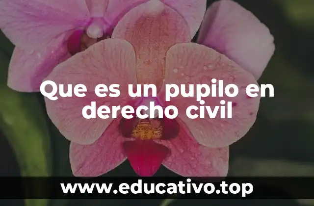 Que es un pupilo en derecho civil