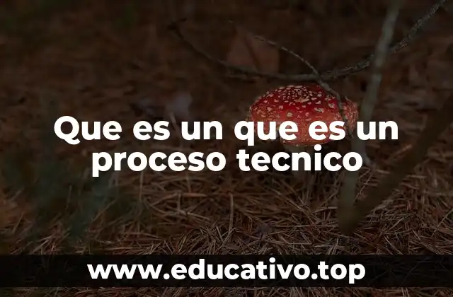 Que es un que es un proceso tecnico