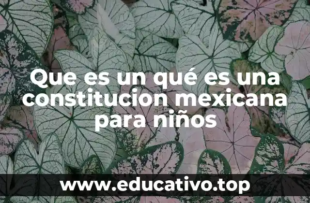 Que es un qué es una constitucion mexicana para niños