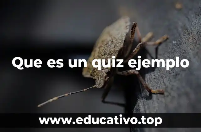 Que es un quiz ejemplo