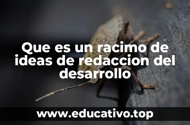 Que es un racimo de ideas de redaccion del desarrollo