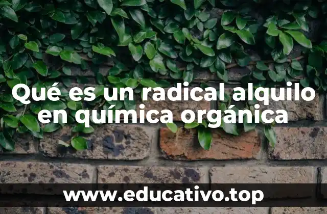 Qué es un radical alquilo en química orgánica