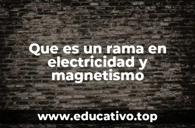 Que es un rama en electricidad y magnetismo