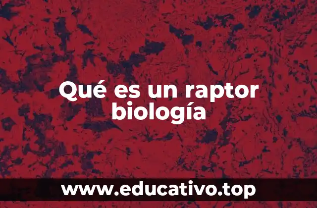 Qué es un raptor biología