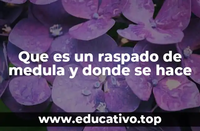 Que es un raspado de medula y donde se hace