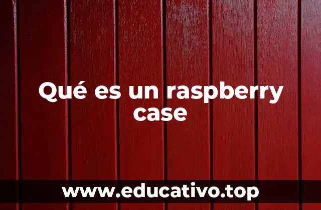 Qué es un raspberry case